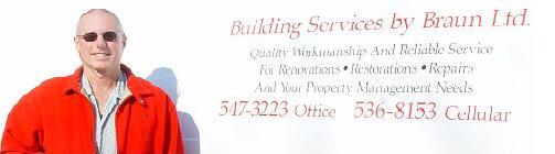 Braun Van.jpg (63689 bytes)